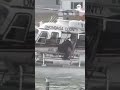 Police use helicopter to rescue dog from river