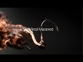 Apple IPhone 5s TV Ad Metal Mastered Apple IPhone 5s TV Ad Metal Mastered