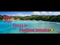 Ten Places You MUST visit in Portland | Jamaican Things