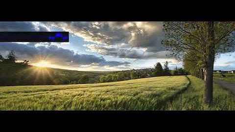 Bassistsubdivision Serialism fasgbskpie