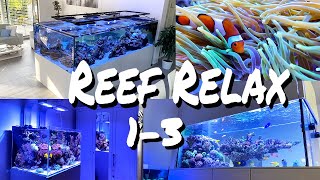 1 hour REEF RELAX 13  chillout music 'LOFI' enjoy + reef aquariums *lounge*