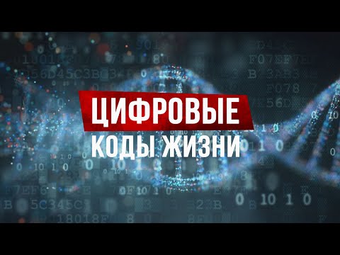 Информация и материя. Как возник наш мир