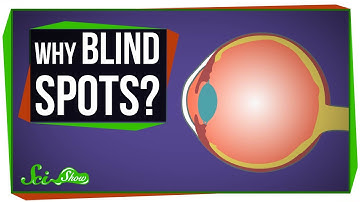 Why Do We Have Blind Spots?