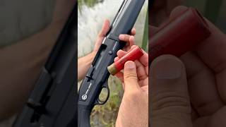They Told me These are Not Gonna Fire - Testing Old Paper Ammo #hunting #review #trends