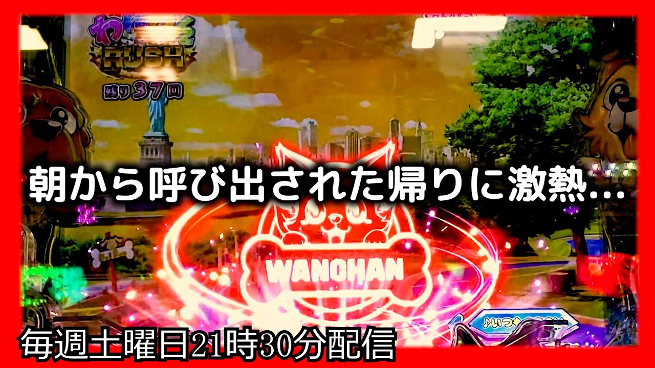 朝から呼び出さた帰りにお金を増やそうとしてみたら、とんでもない激熱がやってきました。【PAわんわんパラダイスCELEBRATION】【沖海5 パチンコ 海物語 ライブ ガチ践大海5!】#パーラーあげ実