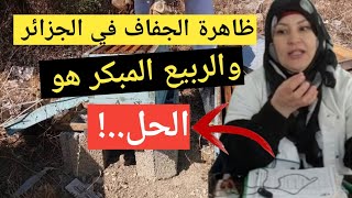 ظاهرة الجفاف في الجزائر والربيع المبكر هو الحل في تربية النحل للأستاذة بوري |Bouri