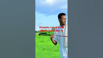 Dhaanto Cusub Kaso Daawo Badrudiin Tv 