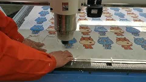 1325 CNC router with CCD