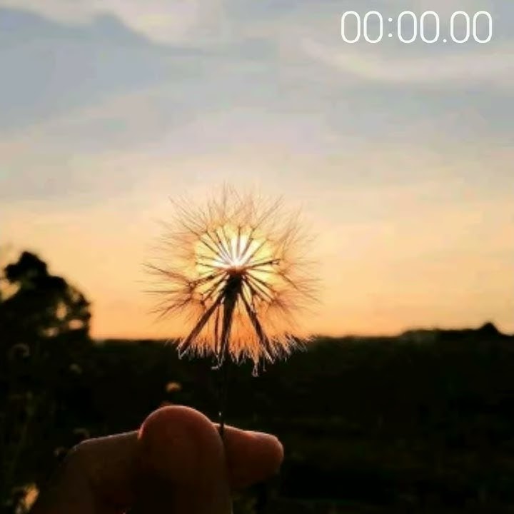 Story wa 30 detik Vagetoz saat kau pergi cover by Chika lutfi