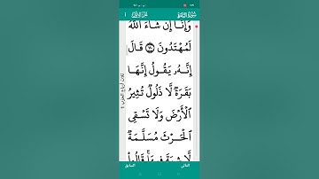 سوره البقره من الايه 69 الي 72🤲ترتيل وتجويد بصوت الشيخ عبد الرحمن