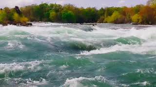 Pearl Is Trippin: Niagara Falls State Park