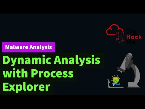 Dynamic Malware Analysis