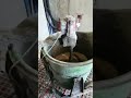 Henan Jianshangzhuoer Machinery Co., Ltd.Household Electric Self-Leveling Gypsum Mixer,