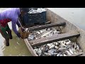 Fishing Videos - Asian Traditional Fishing
