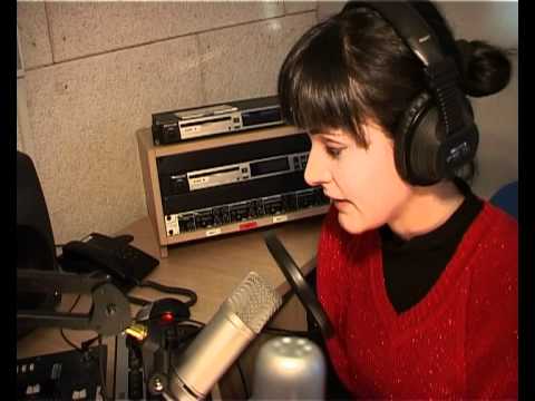 სიუჟეტი რადიო მუზას შესახებ