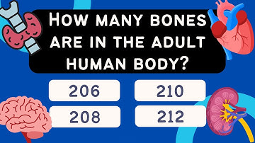 Human Body Quiz | Test your knowledge!