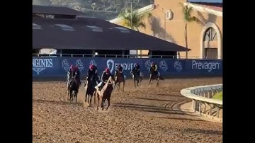 The Mother Goose by the Thorograph Numbers and Patterns