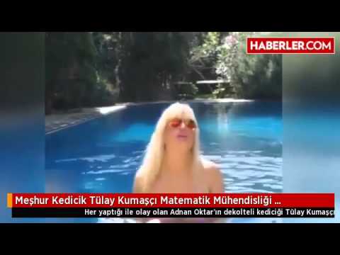 Meşhur Kedicik Tülay Kumaşçı Matematik Mühendisliği Mezunuymuş