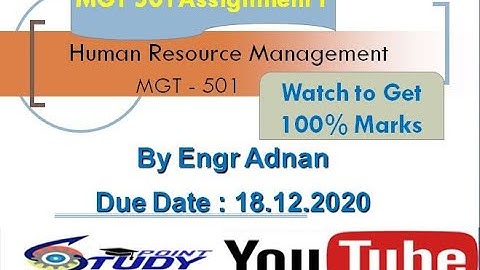 MGT501 Assignment 1 Solution Fall 2020 | MGT501 Assignment Solution 2020 |Explained in a Easy Way