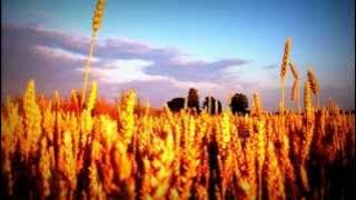 Montecco-Grenadine(Radio Edit)