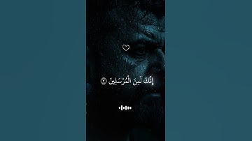 #عبدالباسط #yasseraldossary #عبدالرحمن_مسعد #ياسر_الدوسري #حالات_واتس #القرآن_الكريم  #تلاوة_خاشعة