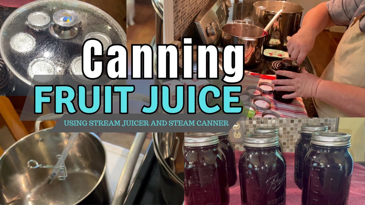 Canning Fruit Juice from Freezer to Steam Canner (2023) 