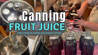 Canning Fruit Juice from Freezer to Steam Canner (2023)