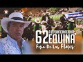 LOS MEJORES CABALLOS de Colombia 🐴 Exposición equina  🐴 🏆 FERIA DE LAS FLORES 🌹