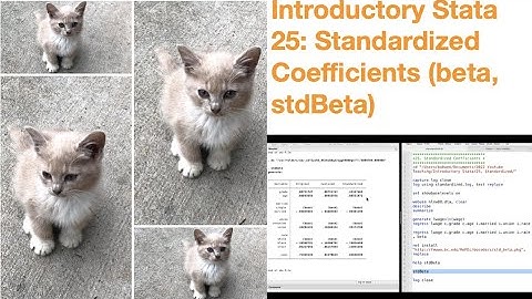 Introductory Stata 25: Standardized Coefficients (beta, stdBeta)