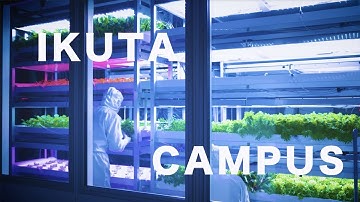 IKUTA Campus Official PV | Meiji University