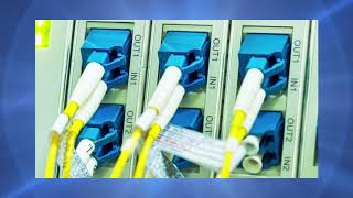 Wavelength Services