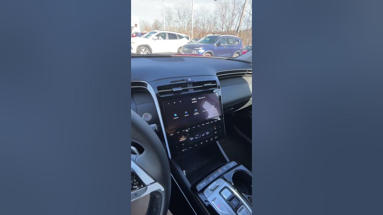 How To Use The Hyundai Blue Link Feature - YouTube