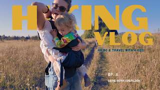 Hiking Vlog | Cape Horn Overlook with 4 kids (mini hike)