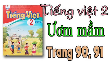 Tiếng việt lớp 2 sách cánh diều TẬP 1 trang 90, 91| Ươm mầm