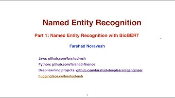 Part 1: Named Entity Recognition with BioBERT