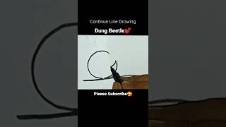 💕🌷Dung Beetle Drawing | Continue line dung beetle drawing #drawing #shorts