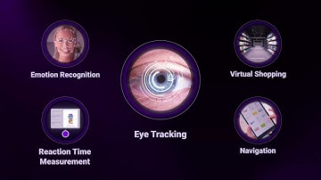 EyeSee methods: Quick behavioral overview