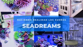 SeaDreams: Haciendo realidad tus sueños