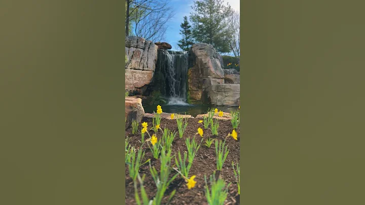 First Day of SPRING! #shorts - DayDayNews