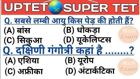 UPTET 2021 || Super TET EVS Important Questions || Super TET || UP LEKHPAL || SSC || RRB || UPPET