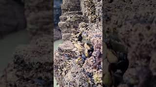 Las imponentes catedrales de roca de España