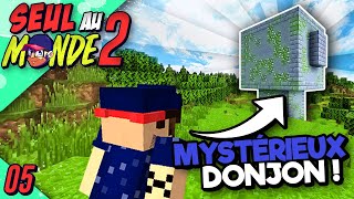 ATTAQUE DU MYSTÉRIEUX DONJON ! - Seul au Monde 2 #05