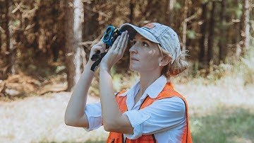 Sustainable Forestry: Maintaining a healthy ecosystem while providing what the world needs