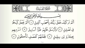 تلاوة هادئة من سورة الفيل وسورة قريش Surah Al Feel and Surah Qureesh