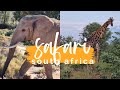 my very first SAFARI in SOUTH AFRICA 🦁🐒🐘🦓🦏 | AFRICA travel vlog #1