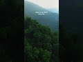 # Amazon forest view # subscribe #please # 🍁