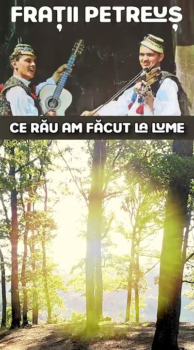 Fratii Petreuș - Ce rău am făcut la lme