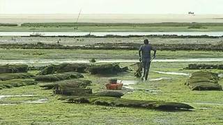 Escape na SIC Notícias: Entre o Guadiana e as ostras de Cacela Velha!