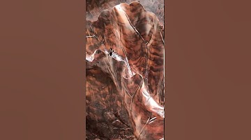 Tranh sen nghệ thuật