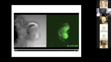 05 13 2021 Pankaj Mehta